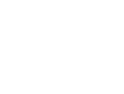 Logotip - Novo mesto short